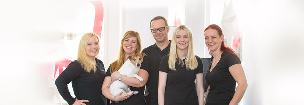 Teamfoto einer freundlichen Zahnarztpraxis mit fünf Mitarbeitenden und einem kleinen Hund.